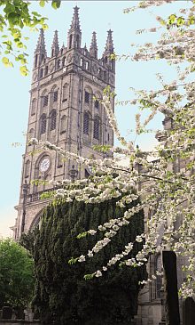 St Marys Tower with blossom